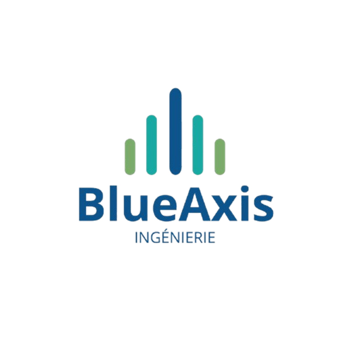 BLUEAXIS INGENIERIE
